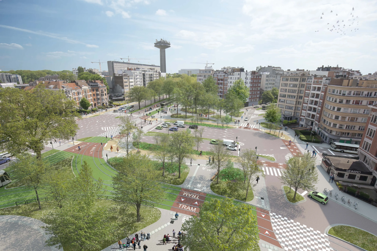 230628_meiser-vue-01