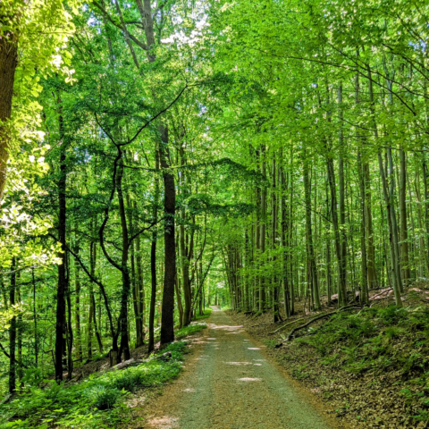 PXL_20250509_133459063~2